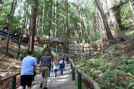 The mystery spot is a gravitational anomaly located in the redwood forests just outside of santa cruz, california. Experience The Strange And Unusual At The Mystery Spot In Santa Cruz Marin Mommies