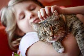 Cats and Kids: Can They Be Best Friends? | Fear Free Happy Homes