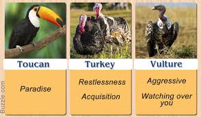 Symbolism Birds And Their Meanings Pretty Enthralling Bird Symbolism And Their Meanings Animal Medicine Animal Spirit Guides Bird