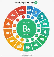 Foods High In Vitamin B Vitamin B Foods Vitamin A Foods B6 Vitamin Benefits