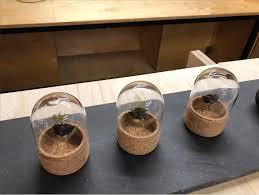 Maxi taboada & pablo pingitore. Baunow Design Research Lab