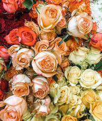 Check spelling or type a new query. Tara Bella Flowers Home Facebook