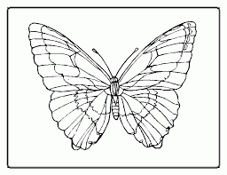 Nine free printable butterfly coloring pages that include five sets of small butterflies and four large butterflies. Butterflies Colouring Coloring Home