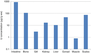 Uranium's utility for tanzania itself is very limited, koczy said. Uranium In The Environment Behavior And Toxicity Springerlink