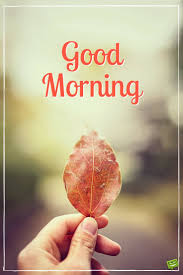 Motivated young man running in the rain. Good Morning Autumn 2