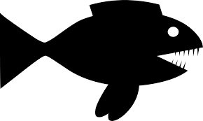 Ikan piranha adalah salah satu ikan terganas yang sangat terkenal. Piranha Ikan Marah Gambar Vektor Gratis Di Pixabay