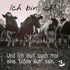 Stimmt Lustige Spruche Witzige Spruche Spruche