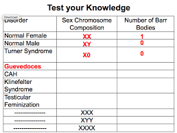 Gen Exam 2 Diagram Quizlet
