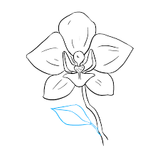 Pin On Tattoo Idea