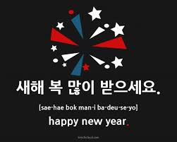 Happy New Year In Korean Korean Words Korean Phrases Korean Lessons