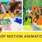 Stop Motion Animation (Ages 8-12)