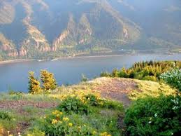 Dog mountain — washington trails association. Dog Mountain Lower Viewpoint Hiking In Portland Oregon And Washington