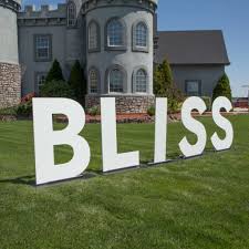 Please tell me if you think this is a good idea, and if we could do anything else. Large Standing Wood Letters Big Yard Letters Craftcuts Com