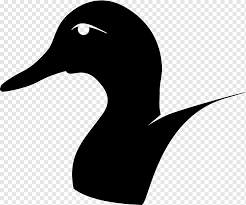 We did not find results for: American Pekin Duck Bird Goose Mallard Bebek Hewan Vertebrata Siluet Png Pngwing