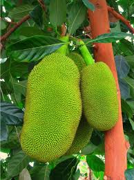 Pin On Healthy Fruit Veggies