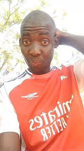 Aloha. These two male cows showed up