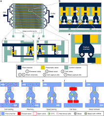 Read 6 reviews from the world's largest community for readers. Hydro Seq Enables Contamination Free High Throughput Single Cell Rna Sequencing For Circulating Tumor Cells Nature Communications