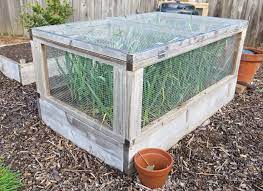 I am making a raised bed vegetable garden this spring and am wondering how i keep rabbits, et c. Po Boy The Garlic Or How To Protect Your Vegetables With A Secure Garden Enclosure Coop Thoughts
