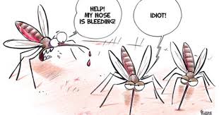 Gatissluka Cute Stories Funny Mosquito Social Work Humor The secret to becoming immune to mosquito bites. funny mosquito