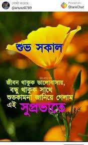 Good Morning Good Morning Quotes Morning Greetings Quotes Free Good Morning Images