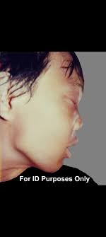 Redneck hippie lifestyle in 1970s Alabama