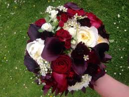 Black and cream wedding bouquets. Dramatic Deep Burgundy Red And Cream Bridal Bouquet Including Black Baccara Roses Calla Lilies Cosmos Stephanosis Waxflower Avalanche And David Austin Pat