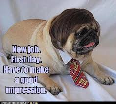 Toate rezultatele despre mesaj ultima zi de serviciu. Despre Prima Zi De Munca Sabina Cornovac Online