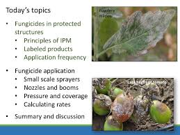 Cymbush cypermethrin jardine green specific pest and diseases. Disease Management In High Tunnels And Greenhouses Ppt Download