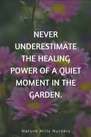 Healing power of flowers quotes. 18 Garden Quotes Ideas Garden Quotes Quotes Flower Quotes