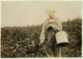 Homer Hunt, 11-year old berry picker. Says he has been out of school half  the