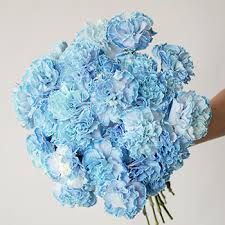 Visually, a soft colour palette will look more gentle against a white or cream. Baby Shower Blue Carnation Diy Wedding Flowers Fiftyflowers