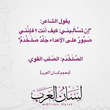 الصلب القوي العربية اللغة العربية لسان العرب الفصحى العربية لغتنا العربية أجمل بالعربية بالعربي أدب شعر لغة Words Arabic Language Learning Arabic
