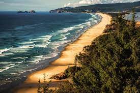 Free returns high quality printing fast shipping Oregon Coast Print 14574351 Jigsaw Puzzles Photographic Prints
