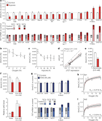7 = 7, 14, 21, 28, 35, 42. Tumour Hypoxia Causes Dna Hypermethylation By Reducing Tet Activity Nature