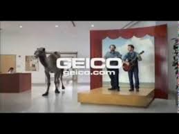 Can't get enough of geico's great commercials? Geico Guess What Day It Is Caleb The Camel Commercial Youtube