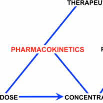 Image result for pharmacokinetics