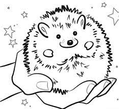 Coloring pages sonic color sheets pages at coloring sonic color. Hedgehog Coloring Pages Best Coloring Pages For Kids
