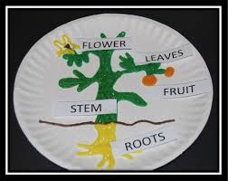 Parts Of A Plant Wikki Stix Plant Lessons Plants Lesson Plans Parts Of A Plant