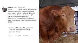 Yg masalah sekarang ni, org parti senjata tu dok jadi macai mcm lembu kena tindik tali kat hidung.ditarik ke sana ke mari. Awatni Buzz On Twitter Awatninews Agama Apa Hukum Tindik Hidung Bagi Kaum Wanita Dikecam Gara Gara Tweet Benarkan Wanita Tindik Hidung Ustaz Paling Cool Di Twitter Tak Kisah Jawapan Diputarbelit Netizen Jumud Https T Co Dhz7abc89e