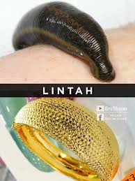 Pembentukan emas di alam melalui sebuah proses magmatisme dari inti bumi atau pengkonsentrasian mineral kepermukaan, serta kegiatan dari vulkanis dari gunung berapi. Nama Nama Gelang Emas Popular Blog Sihatimerahjambu