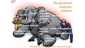 Image result for Chronic Functional Vomiting