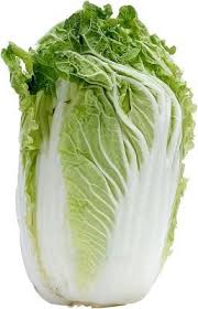 Growing Napa Cabbage Cabbage Varieties Cabbage Napa Cabbage