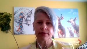 Industry discusses growing rate of depression and suicide among  veterinarians