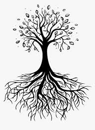 Transparent background tree with roots silhouette. Transparent Tree Of Life With Roots Family Root Tree Clipart Hd Png Download Kindpng
