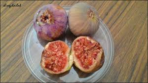 Simple Living In Nancy: Purple Jordan Fig Tree Growing In My Garden