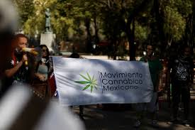 La cámara de diputados de méxico aprobó este miércoles (10.03.2021) la legislación que regula el consumo, cultivo y comercio de marihuana con fines recreativos en todo el territorio, la cual tendrá que ser ratificada por el senado antes del 30 de abril. Sin Acuerdo En El Senado Y A La Espera De La Corte El Frenazo A La Legalizacion De La Marihuana En Mexico Rt