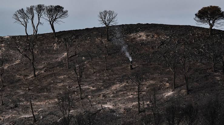 Hundreds of firefighters battle wildfire in southern Spain that killed at  least 12 | WJTV