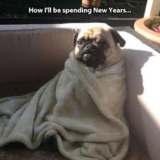 Pin On New Year Funny Memes 2019