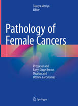 They can have a steamy romance. Pathology Of Female Cancers Precursor And Early Stage Breast Ovarian And Uterine Carcinomas Takuya Moriya Springer