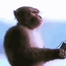Monkey Music Monkey Listening To The Music Gif Monkey Music Monkey Monkey Listening To The Music Discover Share Gifs